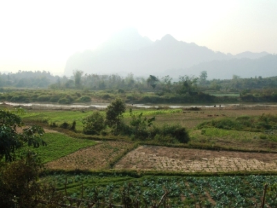 fields, Laos